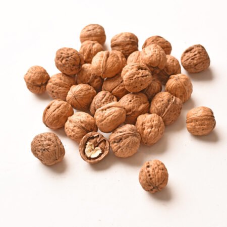Australian Walnut in Shell