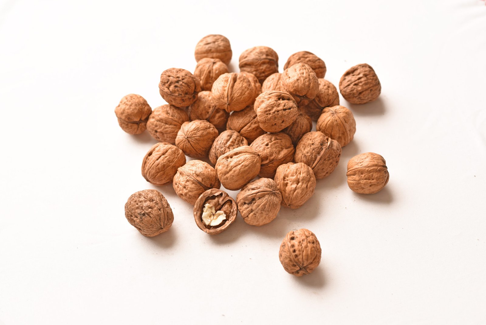 Australian Walnut in Shell