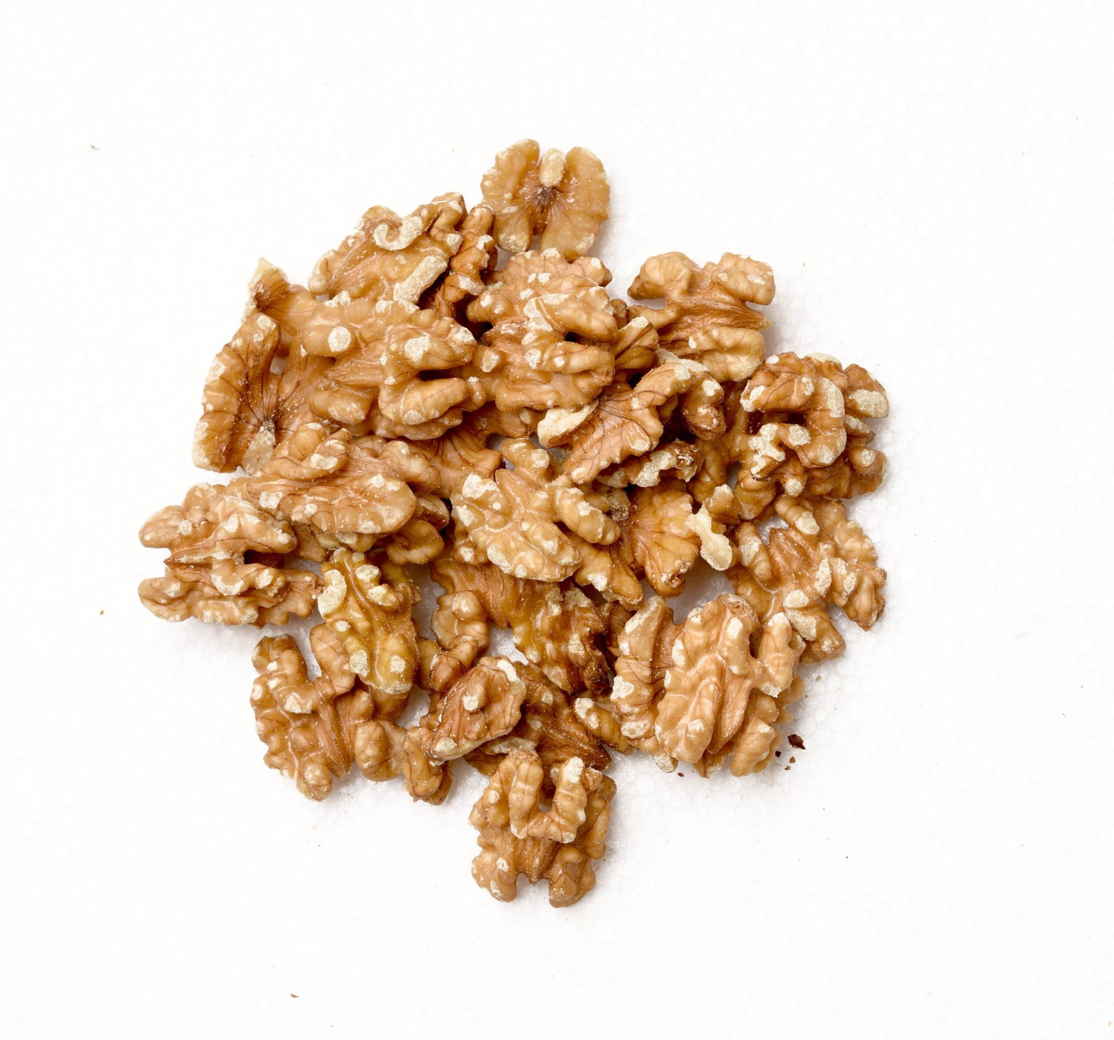 Australian Walnut
