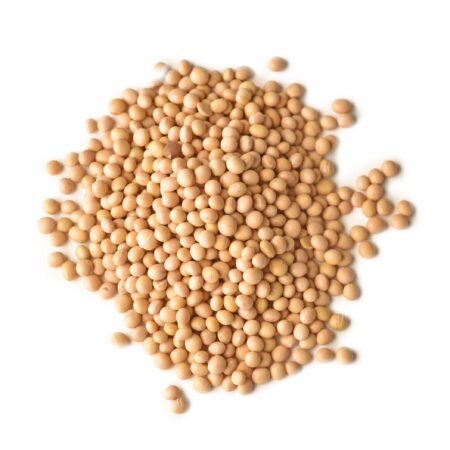 Soya Beans