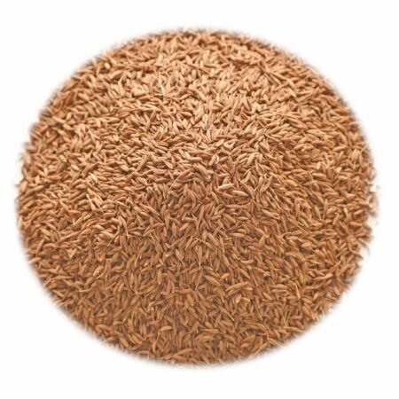 Cumin Seed