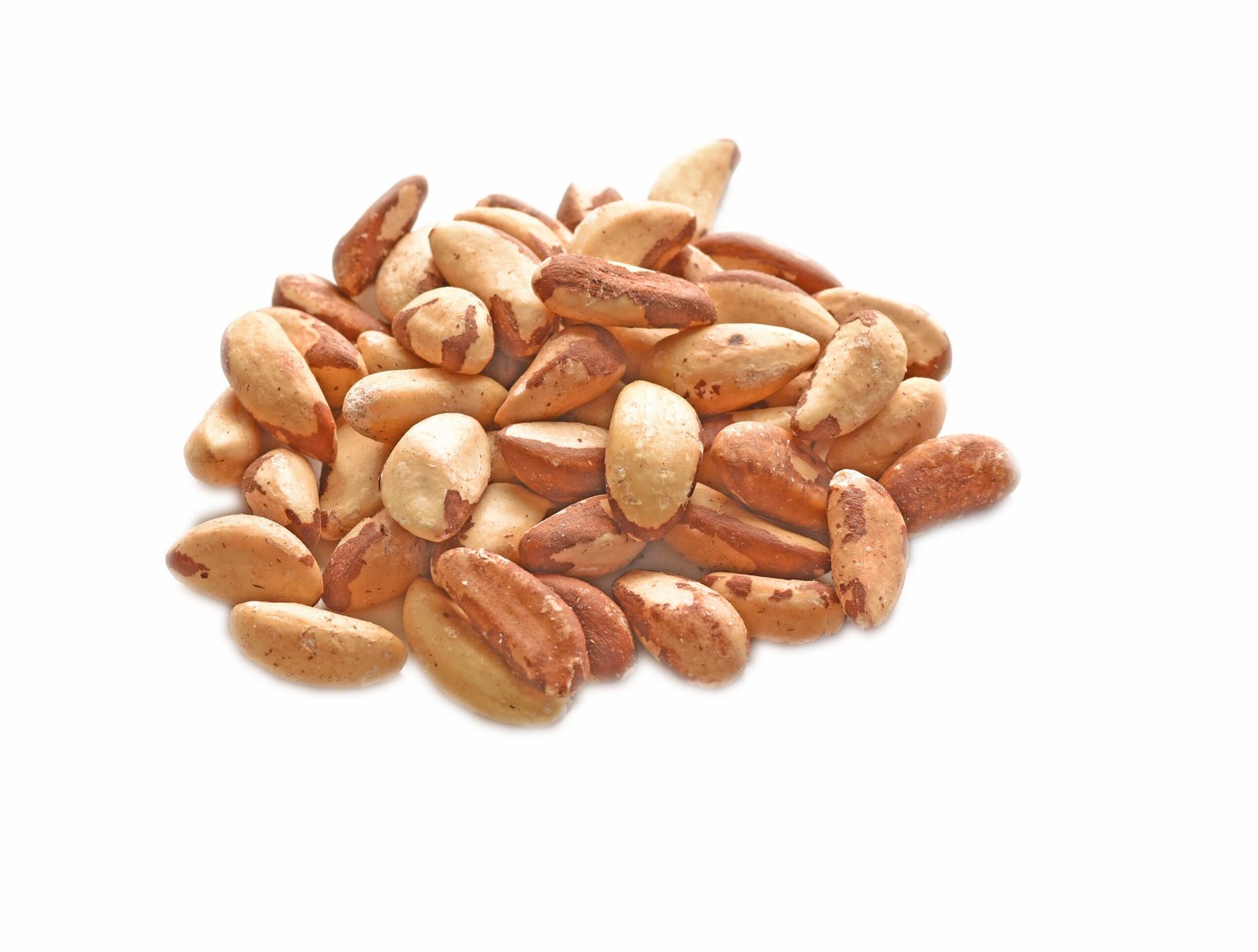 Raw Brazil Nuts