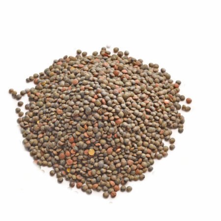 Dupuy Lentils
