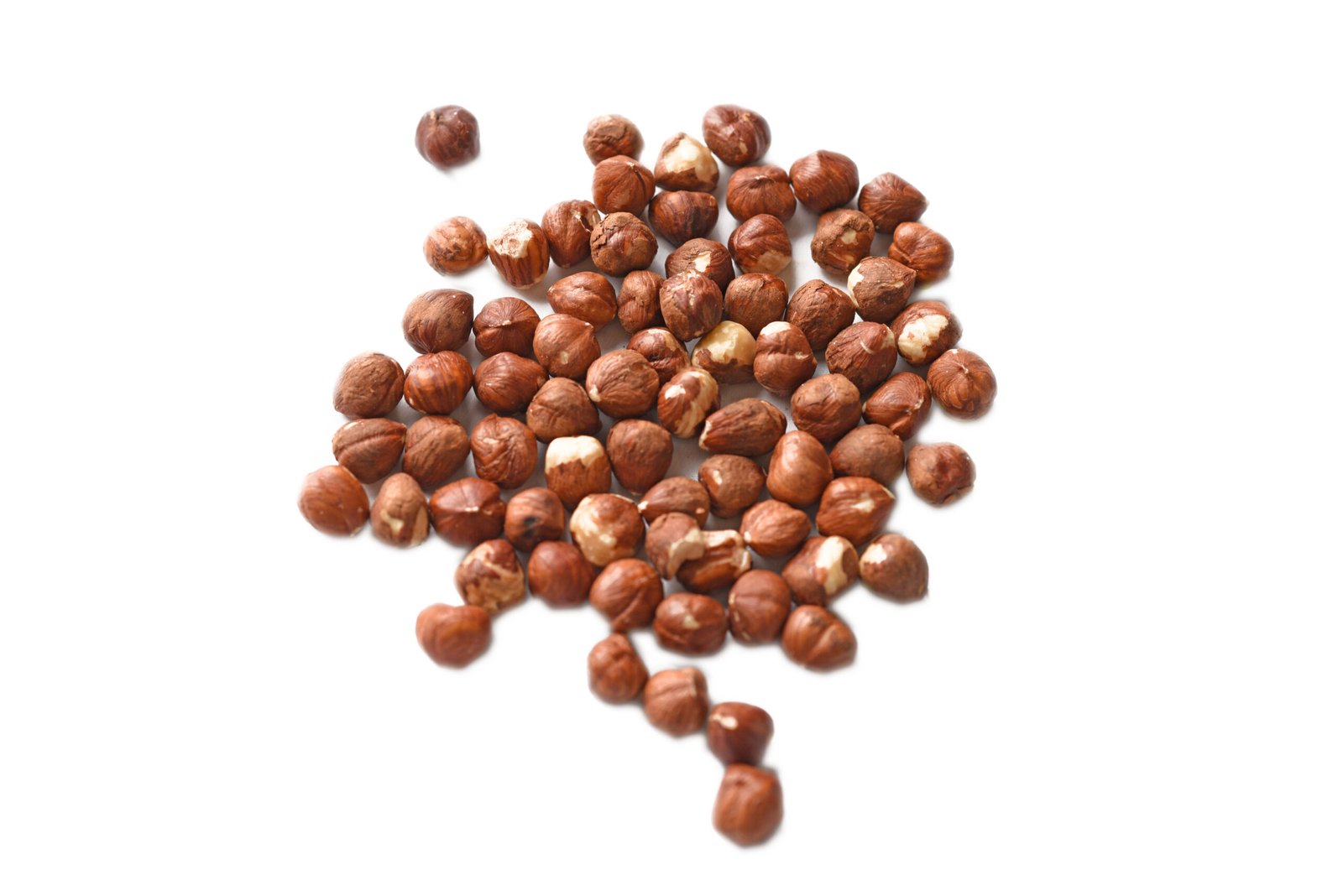 Raw Hazel Nut