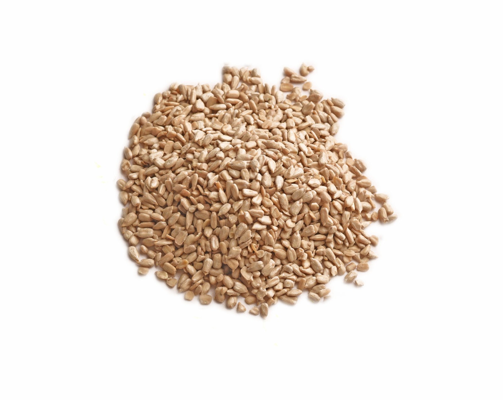 Sunflower Kernel
