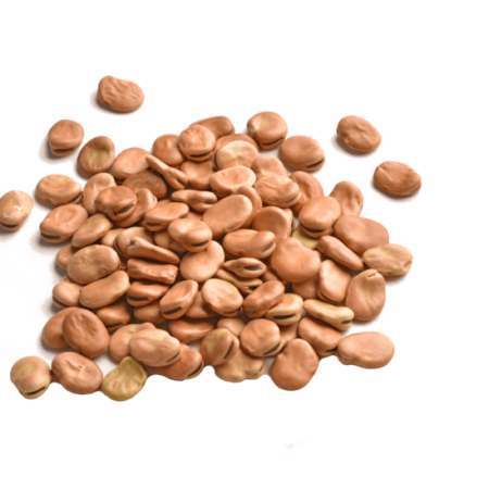 Beans & Grains