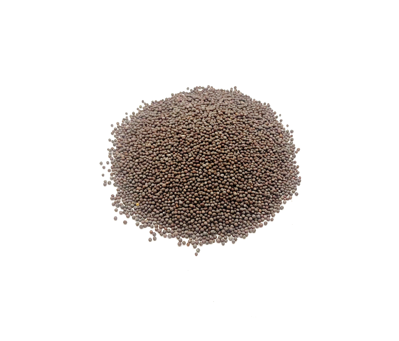 Brown Mustard Seed
